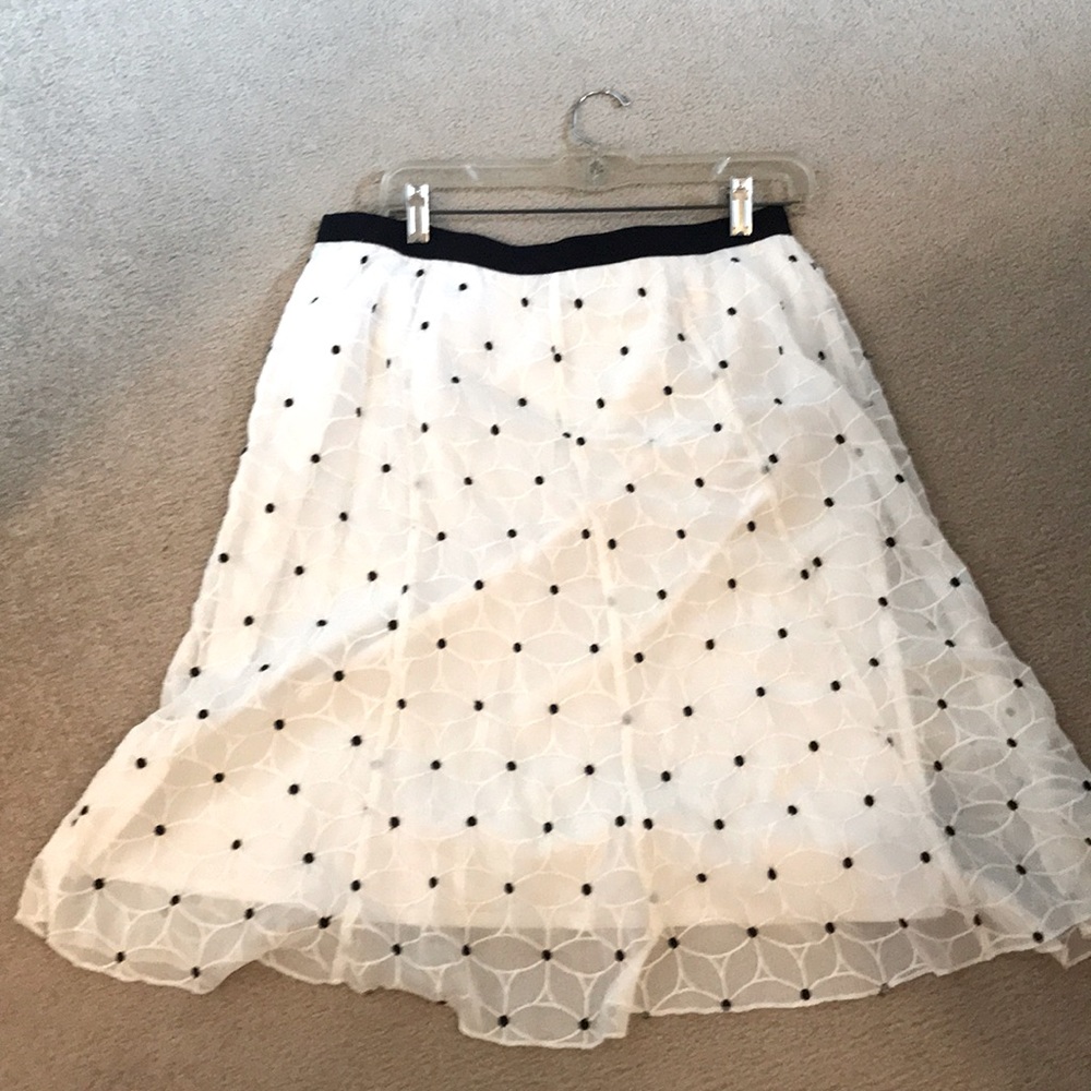 Ann Taylor skirt